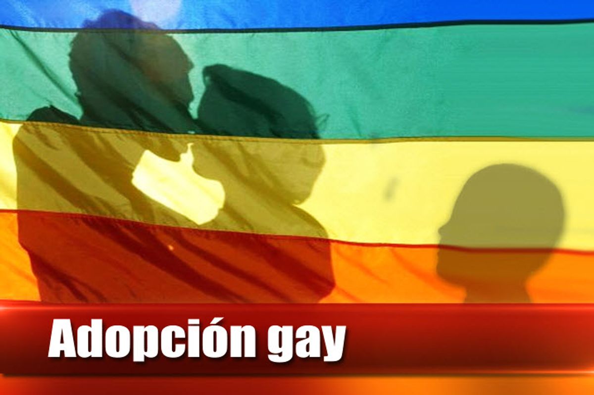 Debate sobre adopción en parejas homosexuales será el 18 de febrero