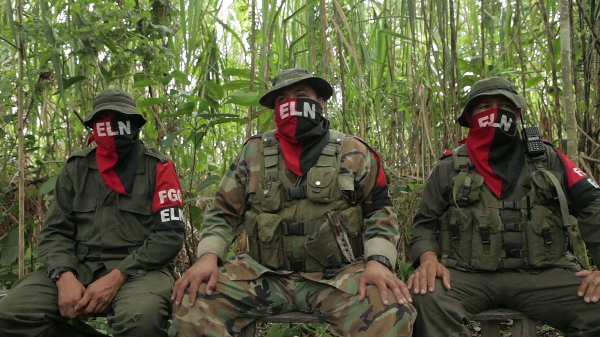 Menor del ELN se entrega al Ejército en Cauca