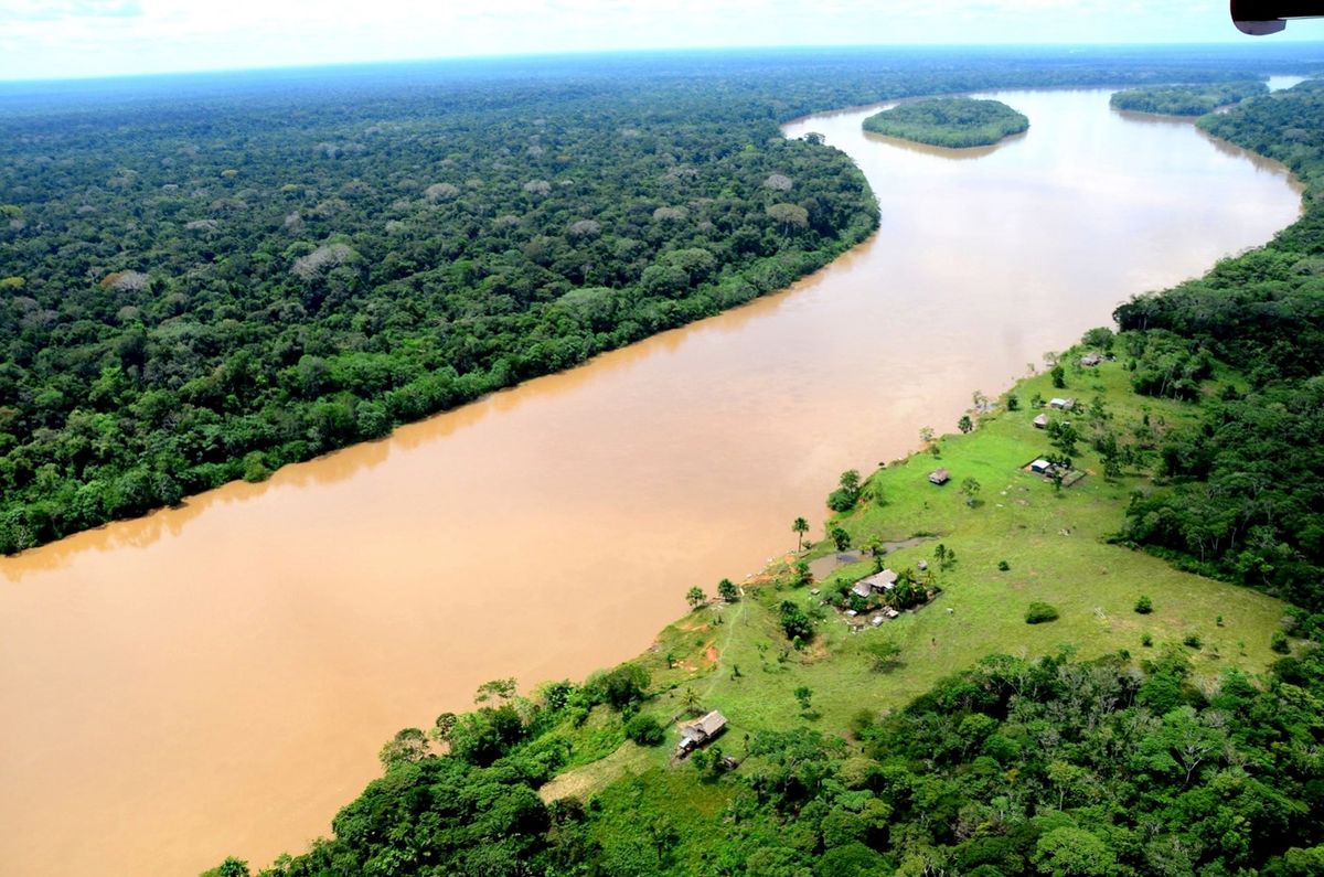 Proyecto científico en el Amazonas suspendido por no hacer consulta con indígenas