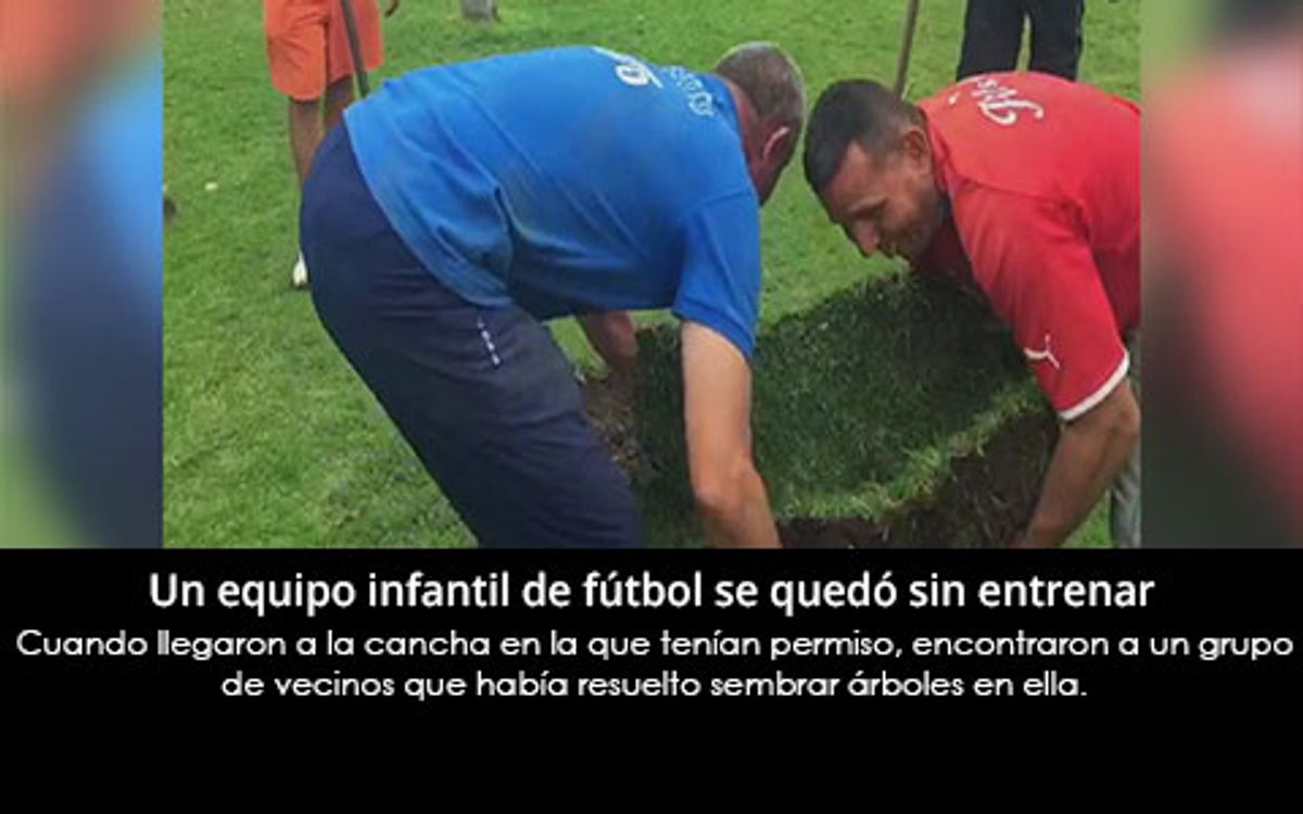 Vecinos de una cancha de fútbol resolvieron sembrar árboles en el campo de juego