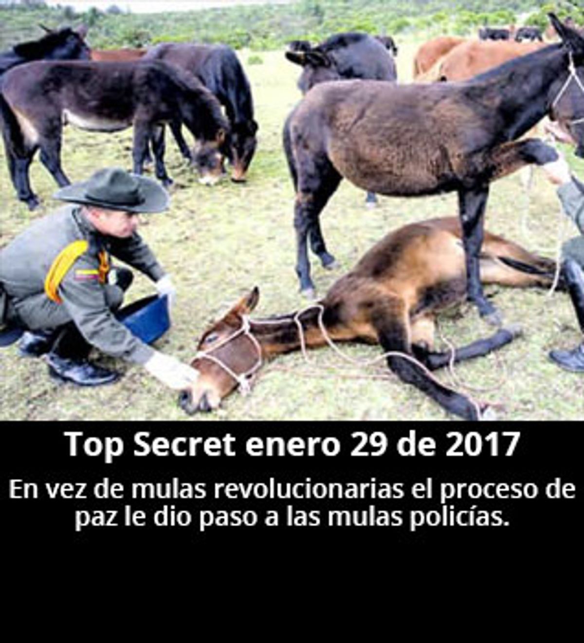 Top Secret enero 29 de 2017