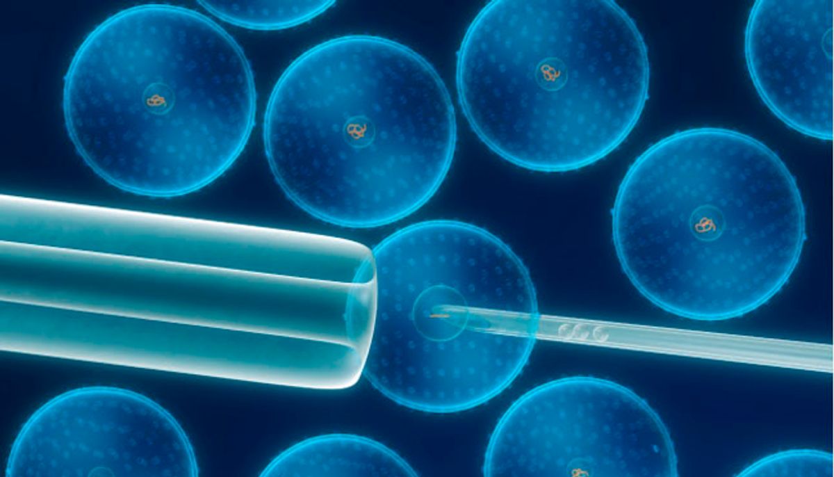 Las células de su propia sangre pueden ayudar a pacientes con leucemia