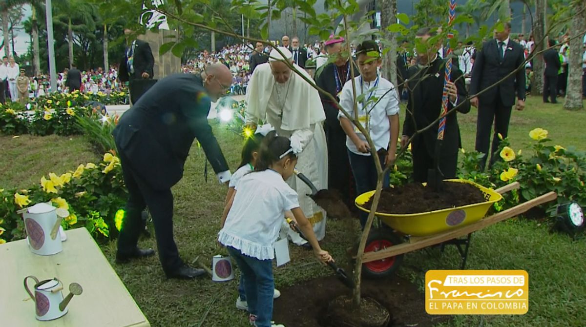 Papa Francisco plantó un árbol como símbolo de paz en Villavicencio
