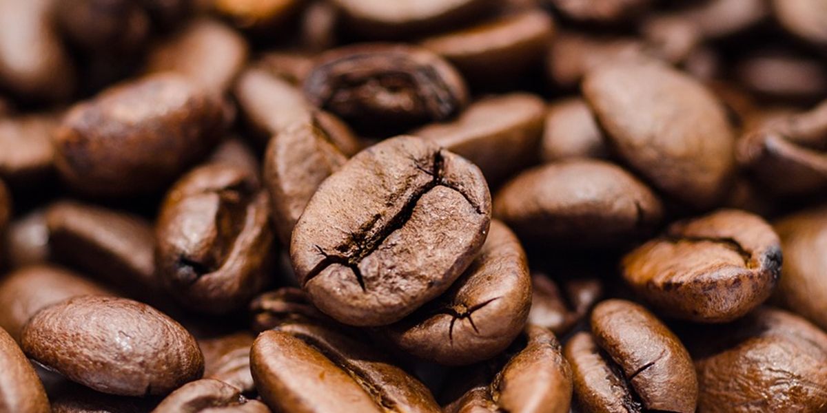 Planta de secado de café beneficiará a 24.000 agricultores del país