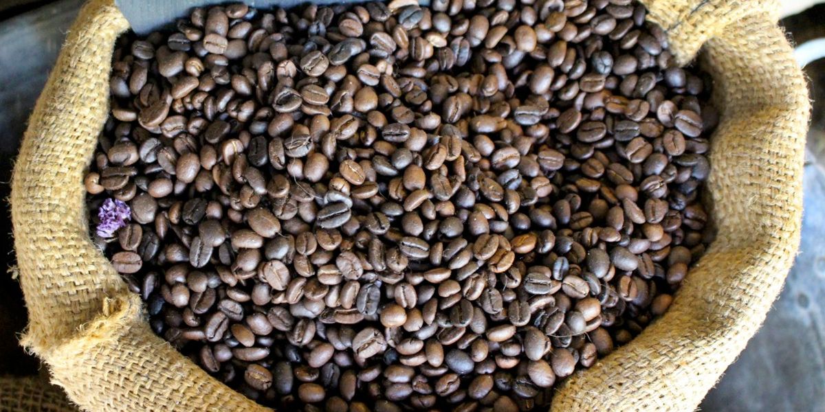 Exportación de café colombiano creció un 2 % en 2017