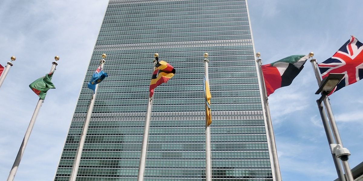 ONU aceptará verificar el alto el fuego entre Gobierno y ELN