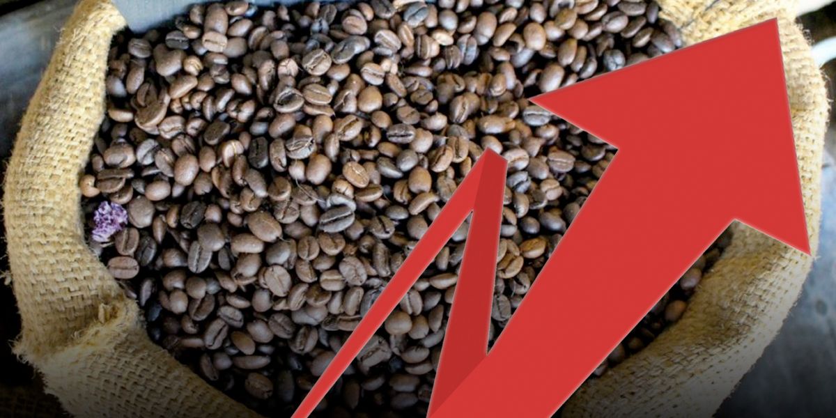 Producción de café crece 19 % en septiembre