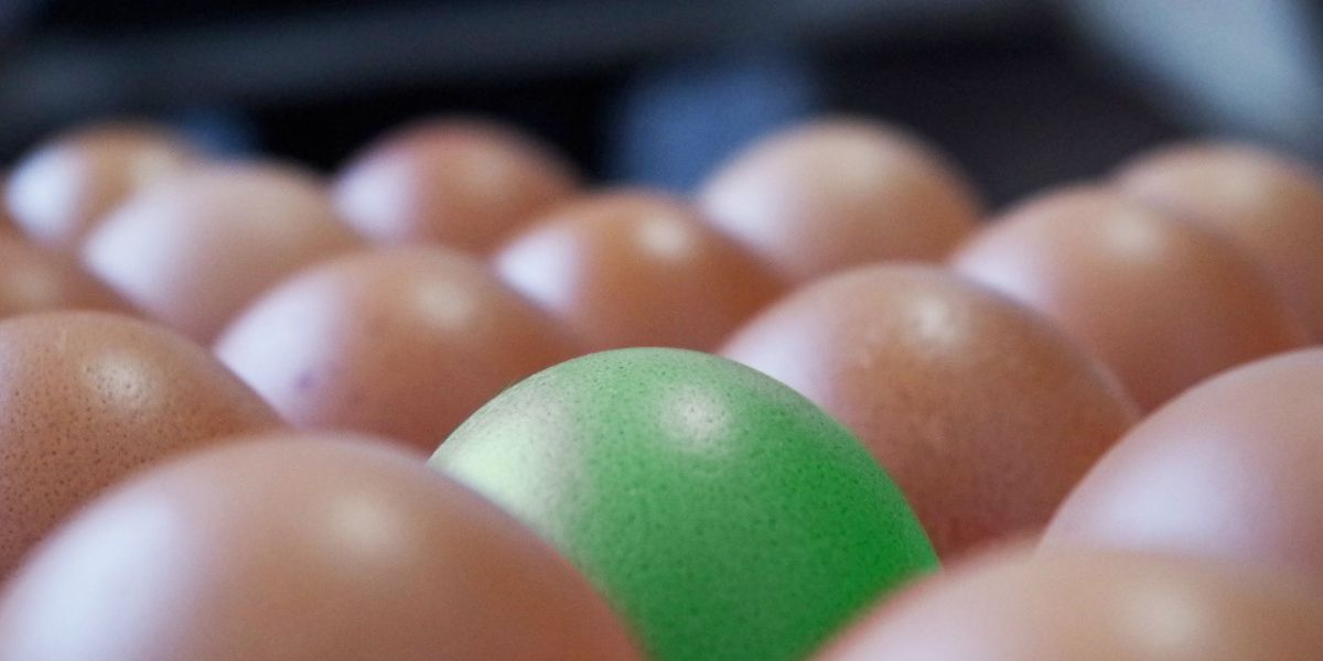 Huevos de sabores, la nueva apuesta del sector avícola