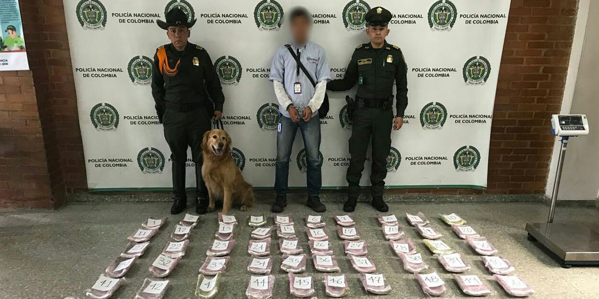 Policía desmanteló cargamento de marihuana en El Dorado