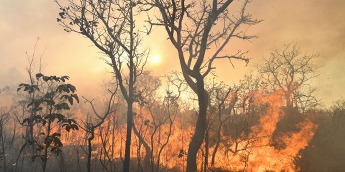 Incendio en Brasil ha arrasado más de 64.000 hectáreas 