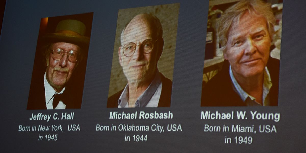 Tres estadounidenses, Nobel de Medicina por estudios del ‘reloj biológico’