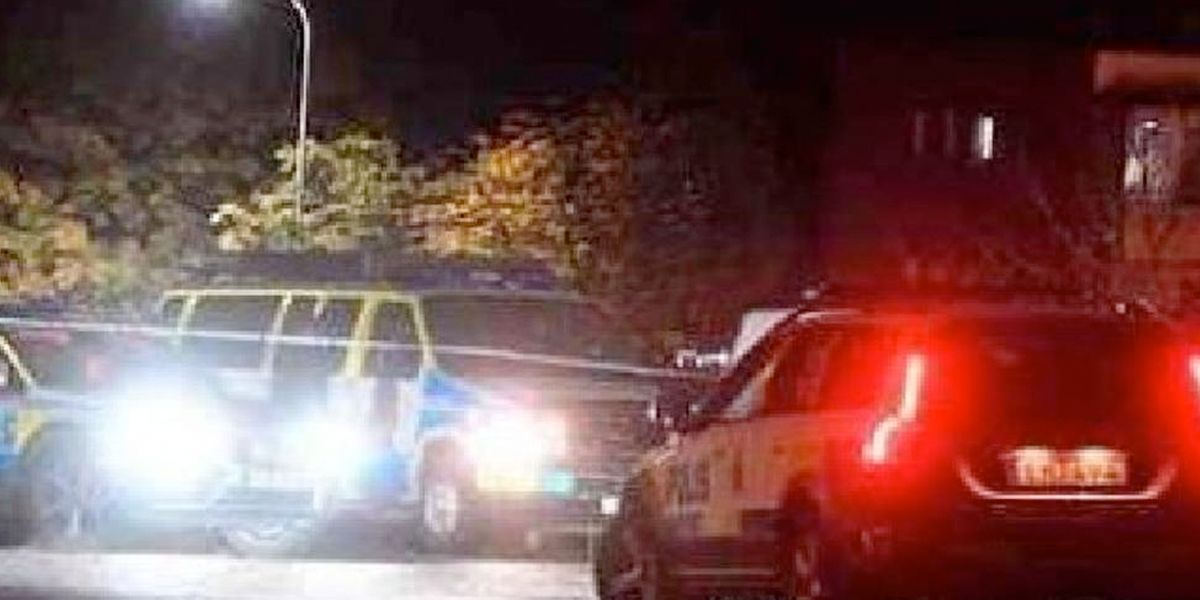 Cuatro heridos por tiroteo en Trelleborg, Suecia