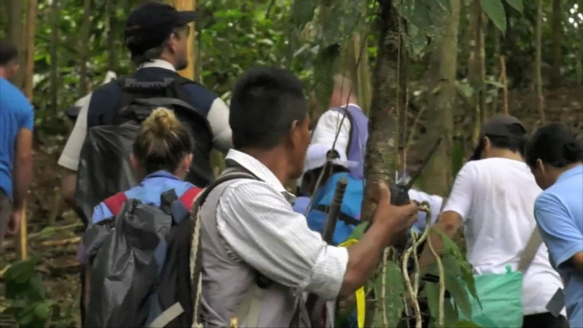 Suspenden del cargo a 4 policías que habrían disparado a campesinos en Tumaco