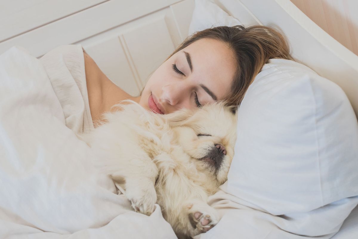 Lo bueno y lo malo de dormir con tu mascota