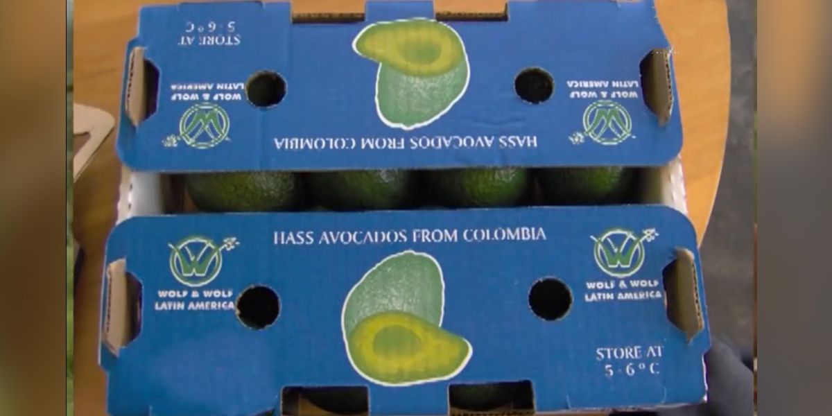 Colombia espera que EE.UU. acepte ingreso de 15 nuevos productos agrícolas