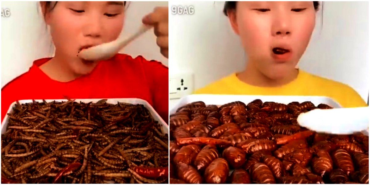 La niña que come insectos es la nueva sensación de las redes sociales