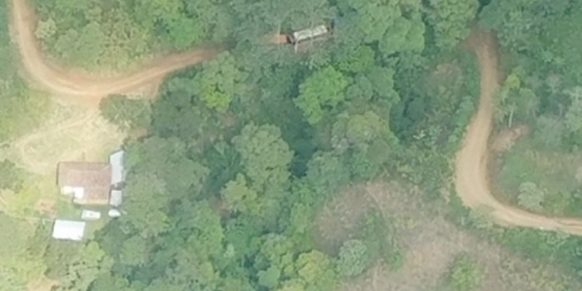 Gobierno lanza documento Conpes para control de deforestación y protección de bosques