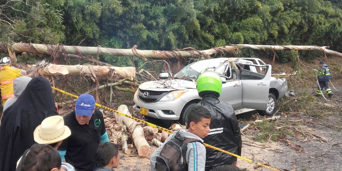 Emergencia en Rionegro por caída de un árbol sobre una camioneta