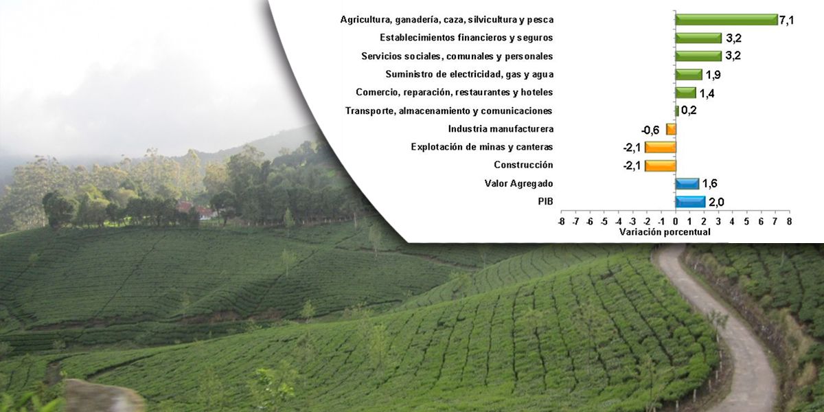 ‘Por primera vez el agro en Colombia lidera el PIB del país’: Iragorri