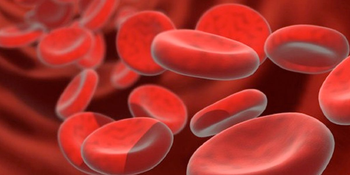 Investigación colombiana sobre hemofilia fue elogiada en Alemania