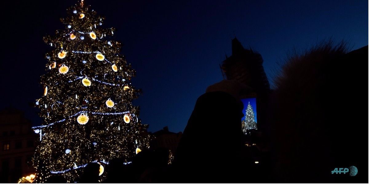 La historia del árbol de navidad - Foto: Michal CIZEK / AFP