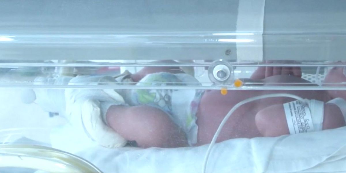 Útero artificial desarrollado en Holanda sería una solución para bebés prematuros  