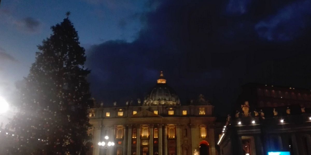 Vaticano enciende su árbol de Navidad en la plaza de San Pedro