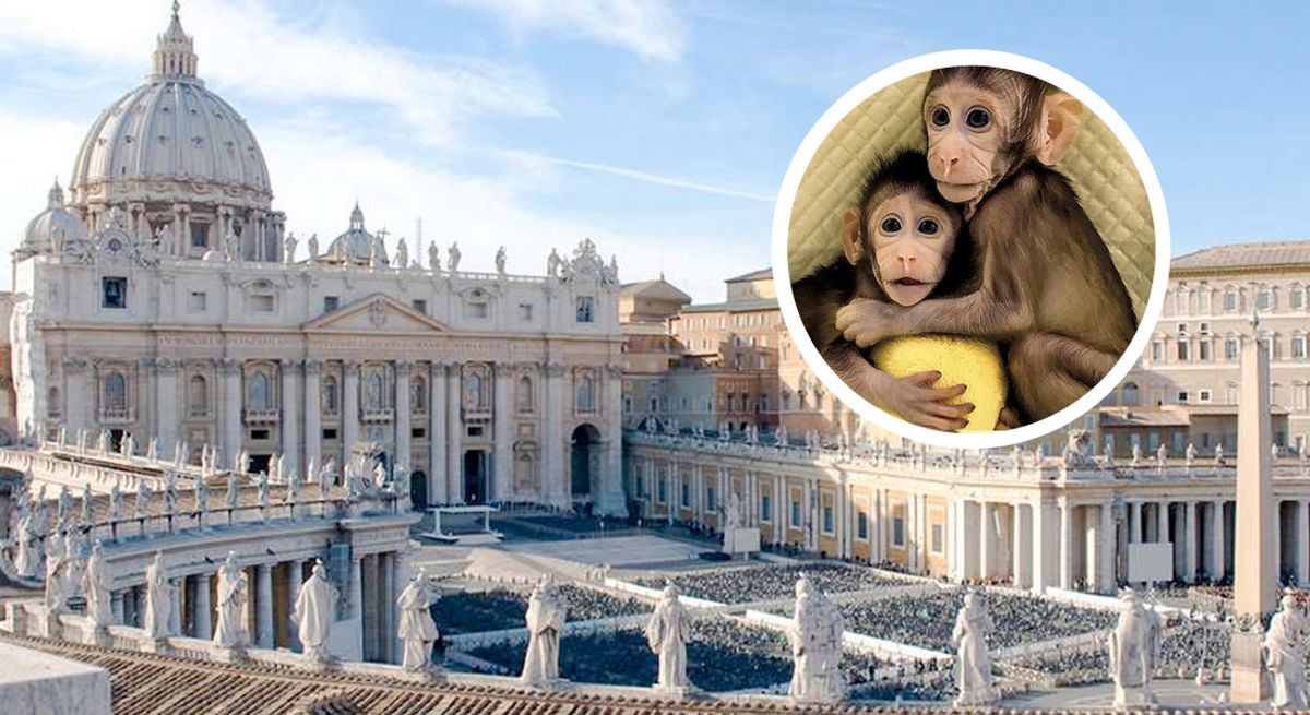 La clonación de los monos abre urgente la puerta para un debate ético: Vaticano