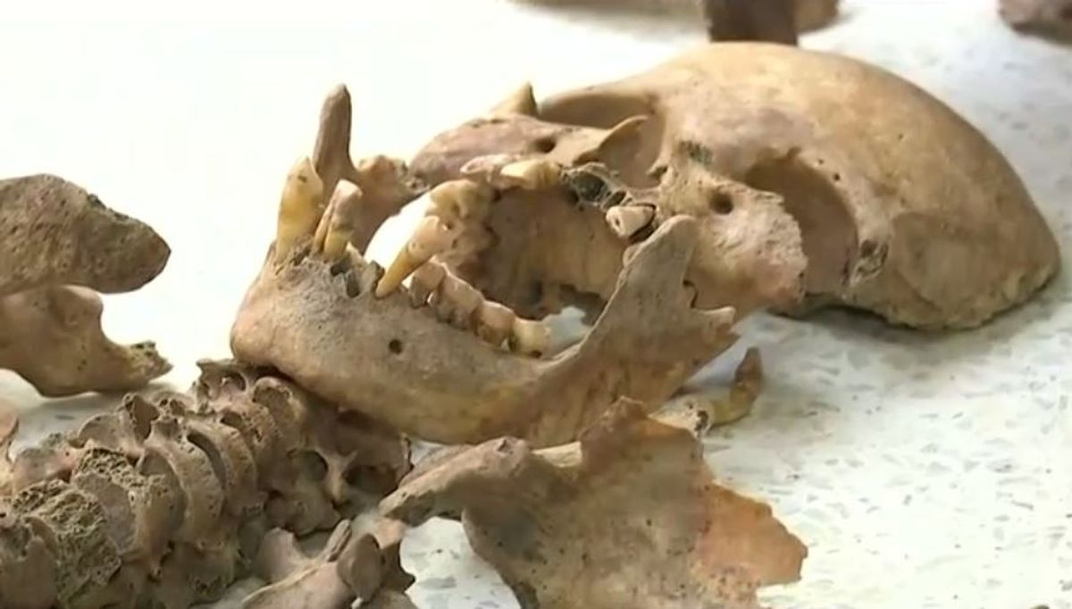 hallazgos arqueológicos calabera valle del cauca - primera hora