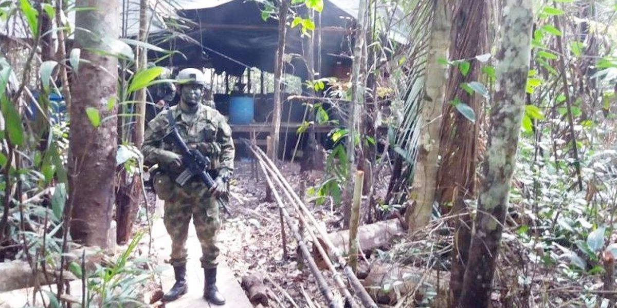 Ejército destruye 5 laboratorios de coca en Norte de Santander, Cauca y Nariño