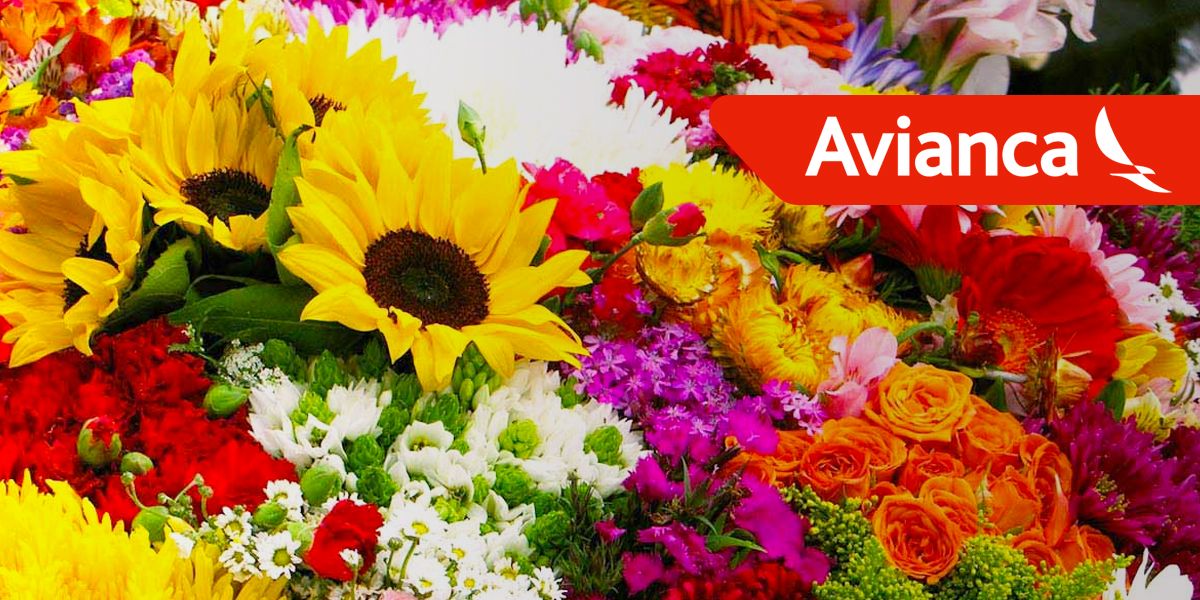 Por San Valentín, 11.853 toneladas de flores fueron transportadas por Avianca a varios países