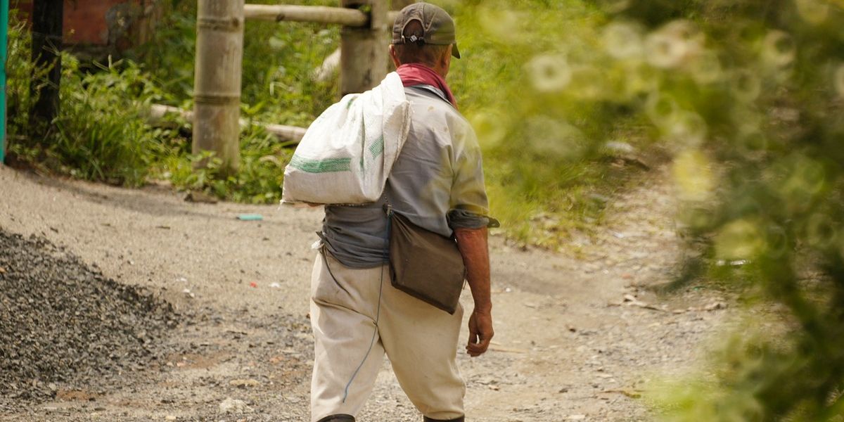 Gobierno debe adoptar medidas para saber cuántos campesinos hay en Colombia: Corte Suprema