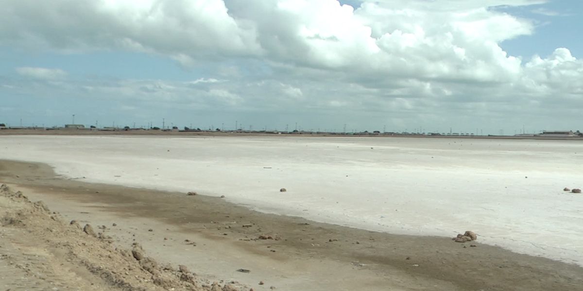 Se han degradado 14 millones de hectáreas por salinización en los suelos
