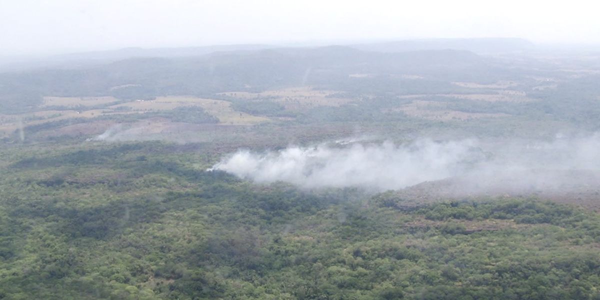 riesgos de perderse en la selva del Guaviare