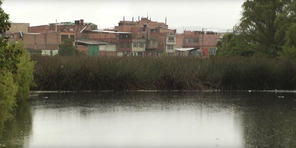 Distrito lanza sitio web para los humedales de Bogotá