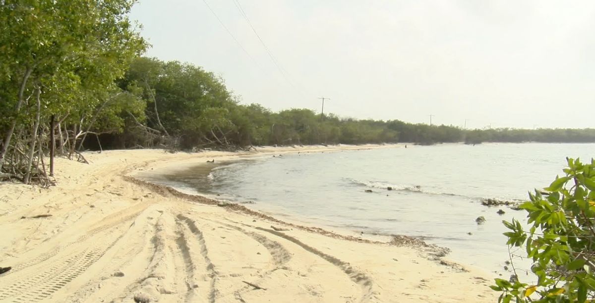 Anuncian inicio de obras de protección costera para evitar emergencia ambiental en isla Barú