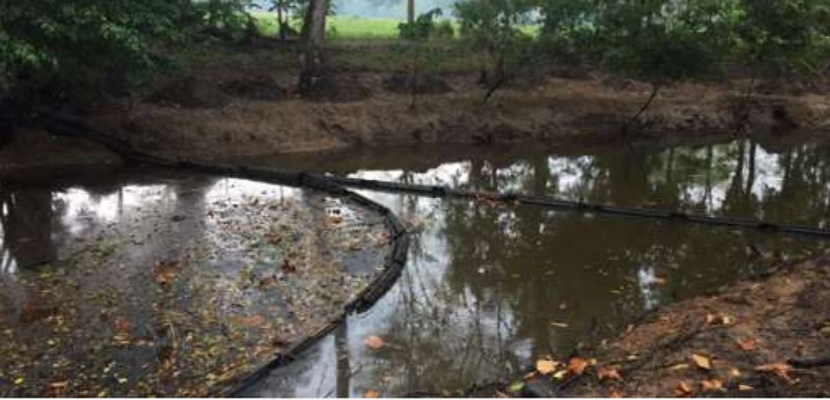 En el río Magdalena no se evidencian trazas de hidrocarburos: Cormagdalena