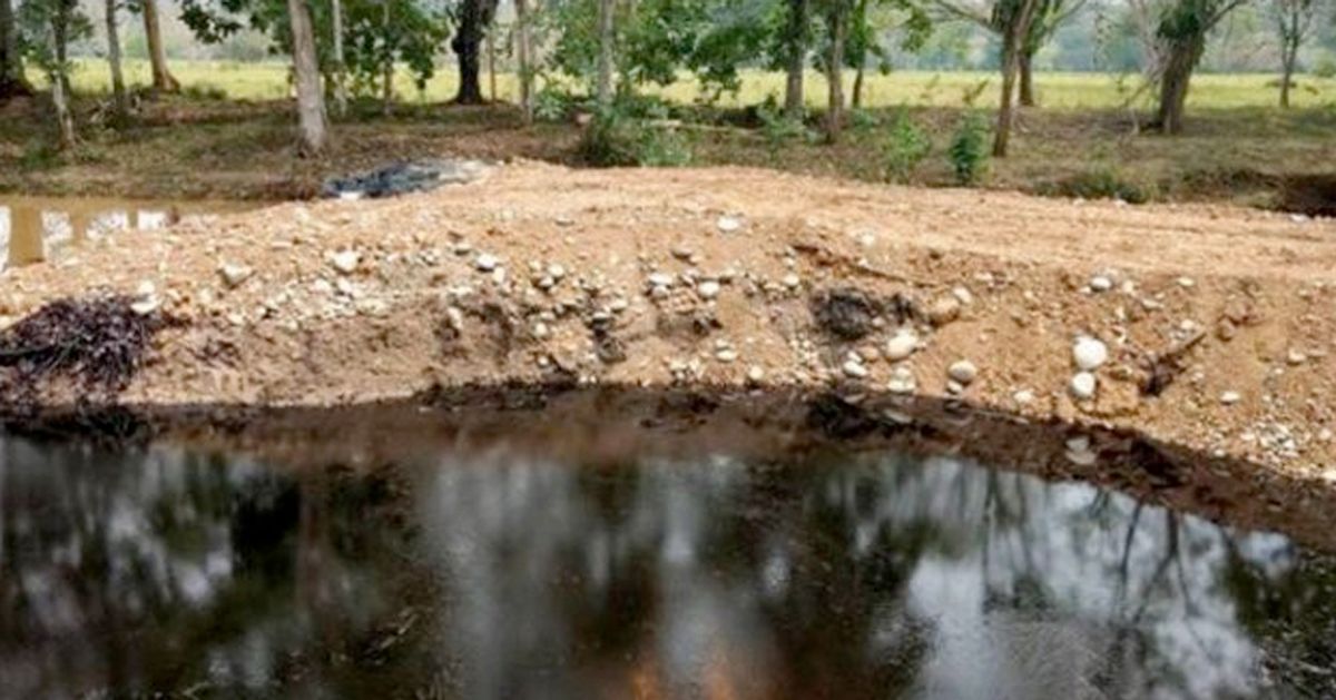 Exigen renuncia de ministro de Ambiente por derrame de petróleo en río Sogamoso
