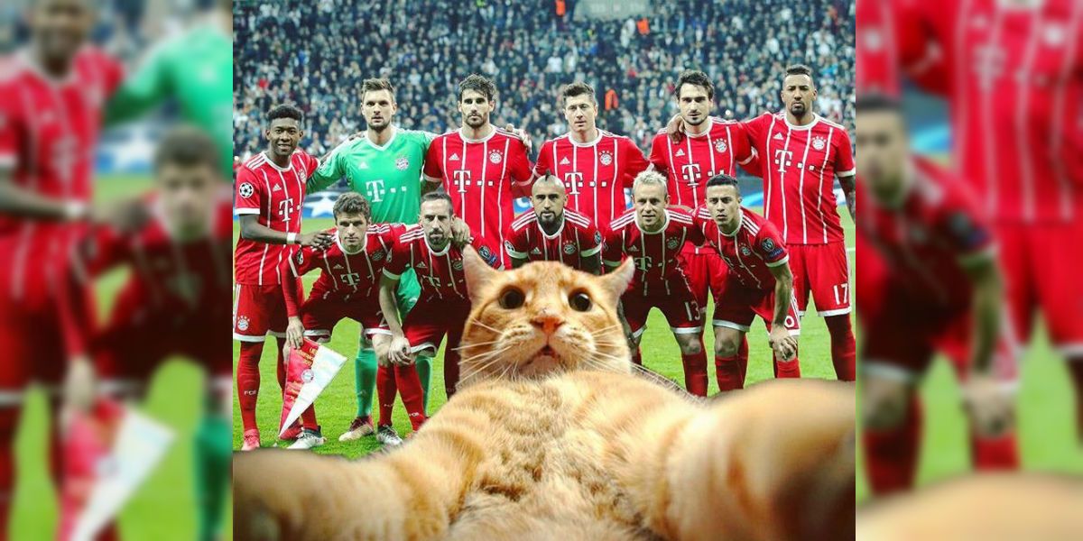 Bayern Múnich bromea con James Rodríguez y el gato que lo “persiguió” en el juego