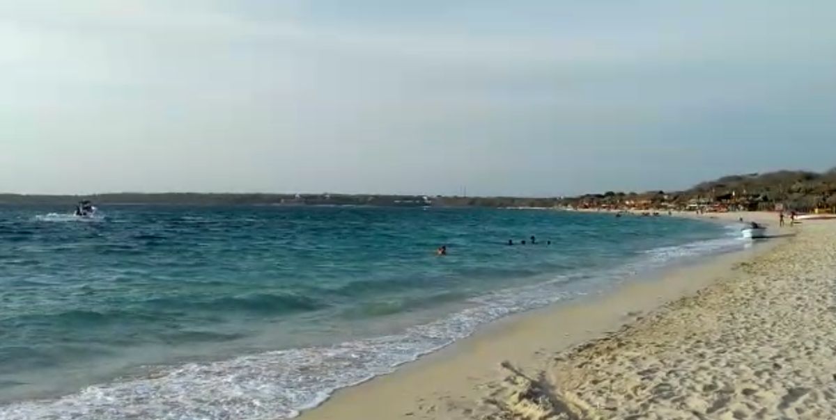 Para protección de tortugas Carey cerrarán parte de Playa Blanca en la isla de Barú