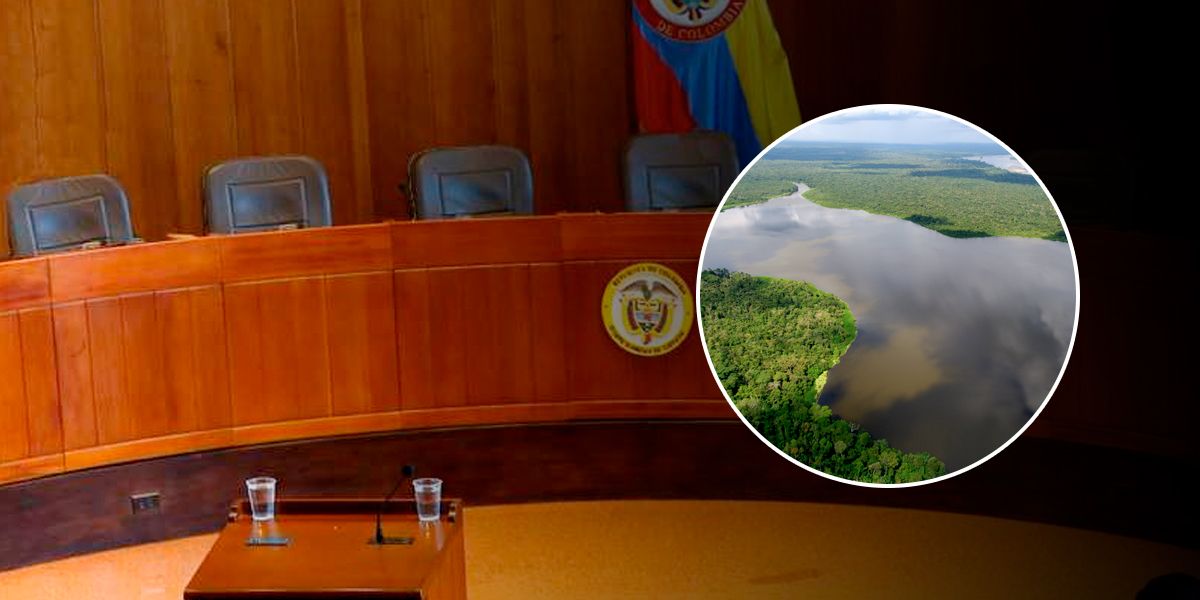 Corte Suprema ordena protección inmediata de la Amazonía colombiana