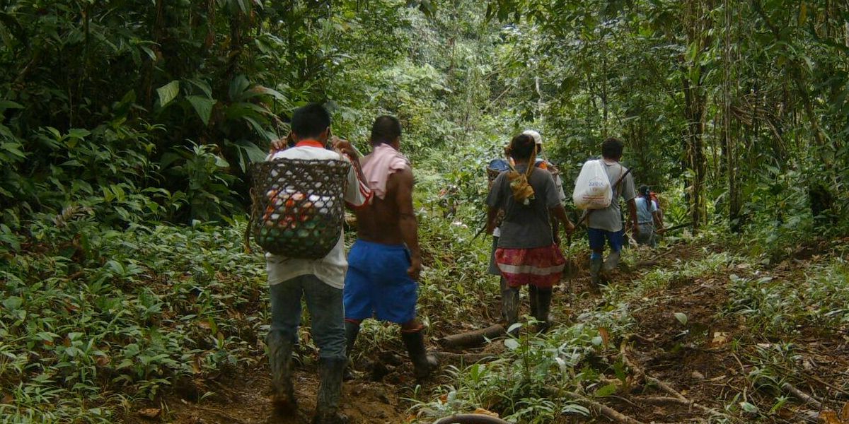 Se presenta desplazamiento de indígenas Awá en Tumaco
