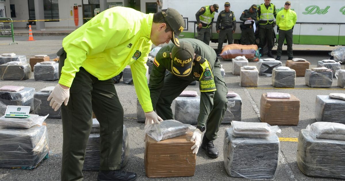 Policía incauta tres toneladas de marihuana creepy en Antioquia
