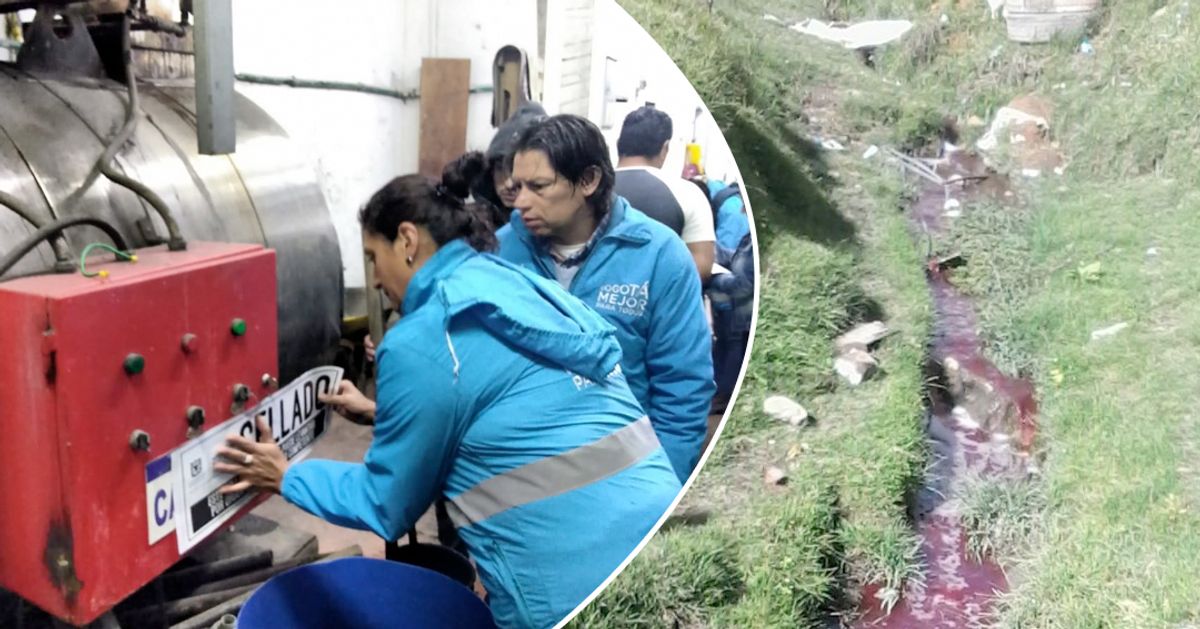 Alcaldía selló frigorífico y tintorería que contaminaban quebrada en el sur de Bogotá