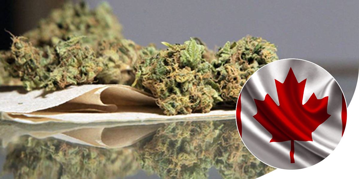 El Senado de Canadá aprueba ley que legaliza la marihuana