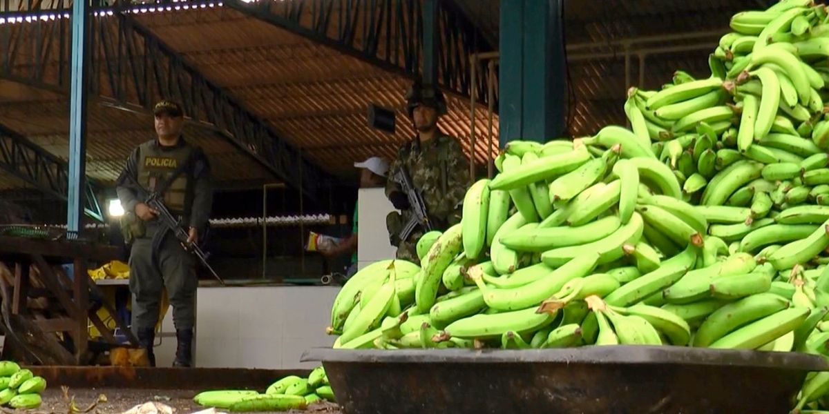 Colombia está en riesgo de perder mercado de banano en Europa y EE.UU. por el narcotráfico