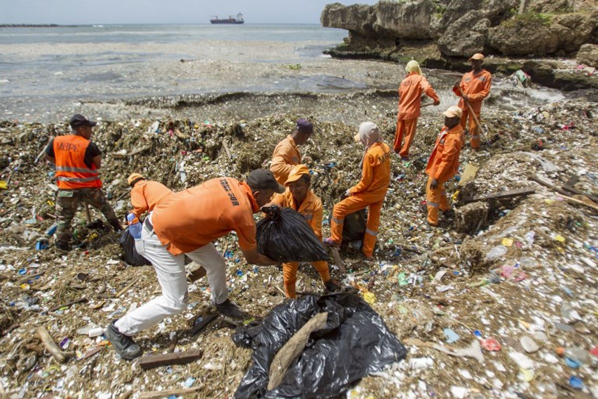 Continua la remoción de basuras en playas de República Dominicana