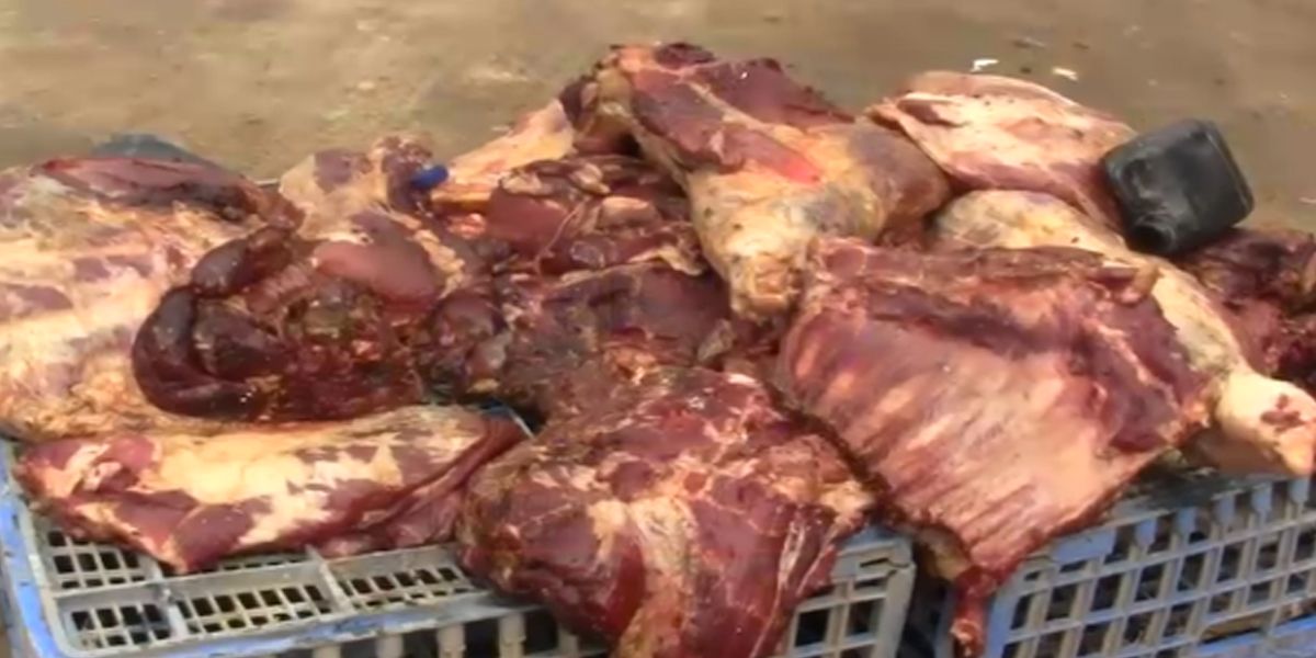 Decomisan nueve toneladas de carne ilegal en Bucaramanga