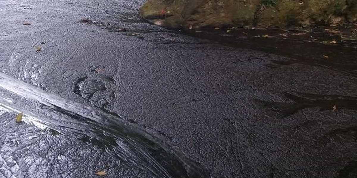 Suspenden bombeo de petróleo por rompimiento de oleoducto en Puerto Boyacá