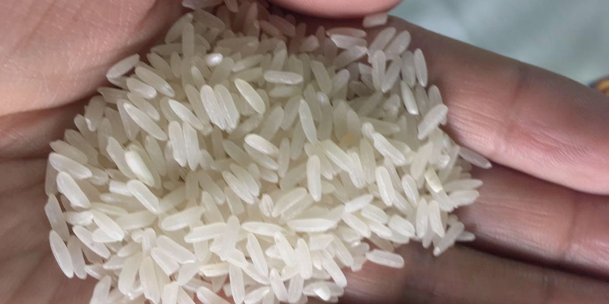 Polémica por el precio base del arroz
